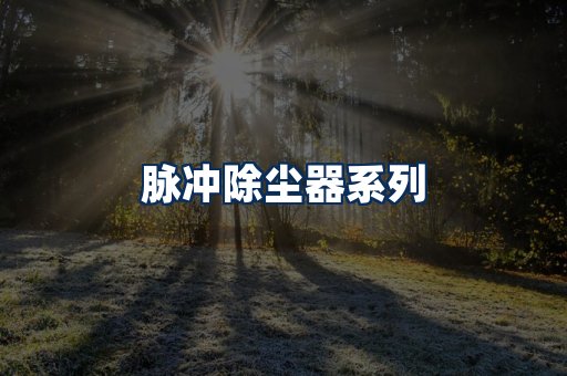 脉冲除尘器展示